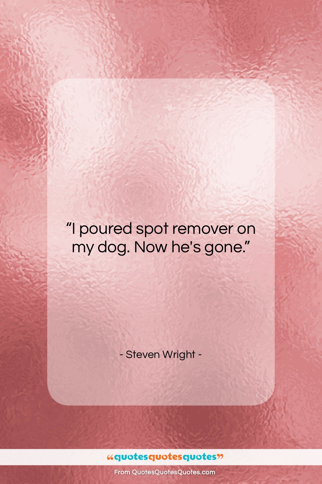 Steven Wright quote: “I poured spot remover on my dog….”- at QuotesQuotesQuotes.com