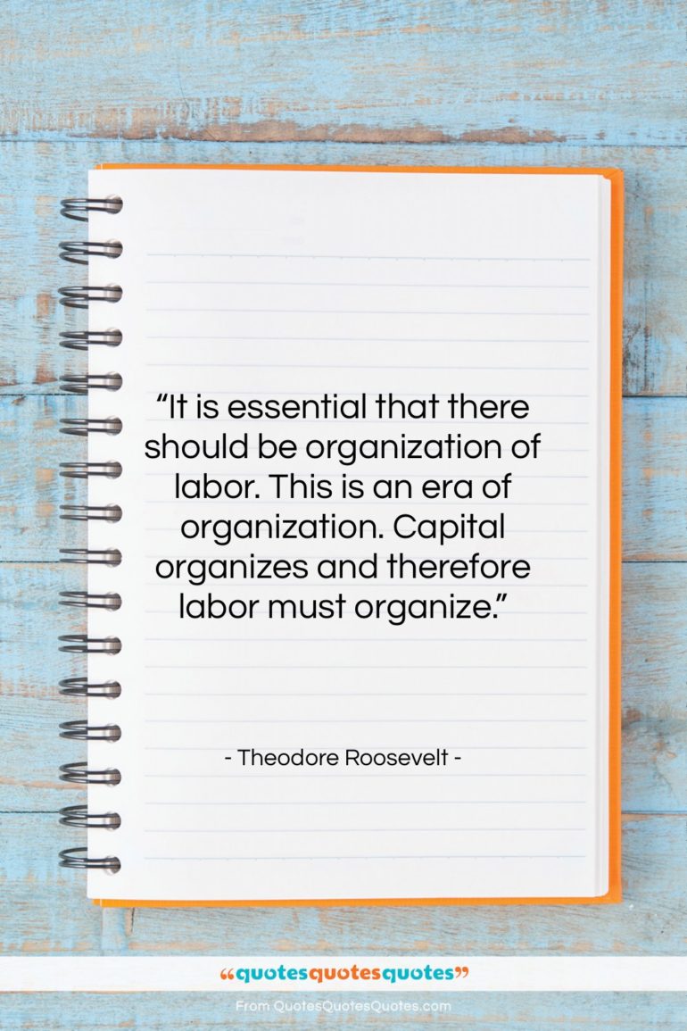 Theodore Roosevelt quote: “It is essential that there should be…”- at QuotesQuotesQuotes.com