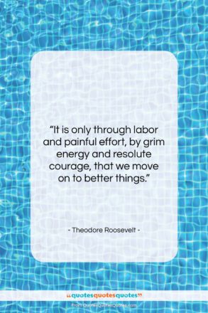 Theodore Roosevelt quote: “It is only through labor and painful…”- at QuotesQuotesQuotes.com