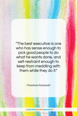 Theodore Roosevelt quote: “The best executive is one who has…”- at QuotesQuotesQuotes.com