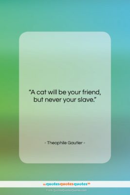 Theophile Gautier quote: “A cat will be your friend, but…”- at QuotesQuotesQuotes.com