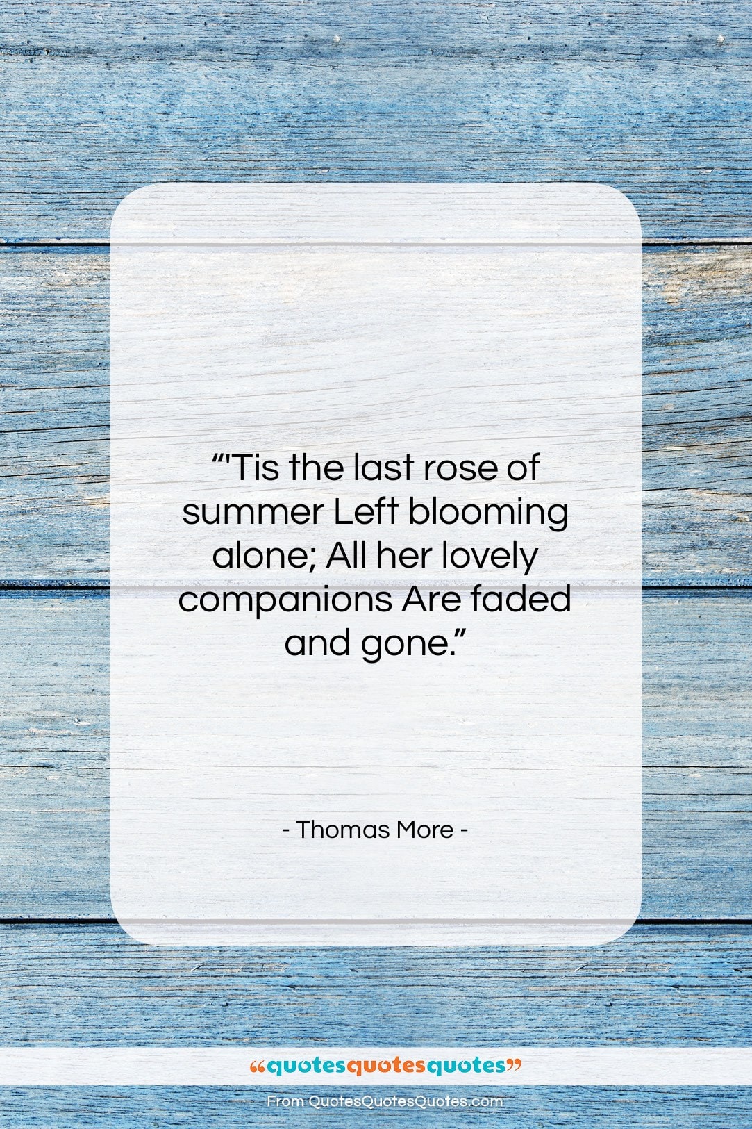 Thomas More quote: “‘Tis the last rose of summer Left…”- at QuotesQuotesQuotes.com