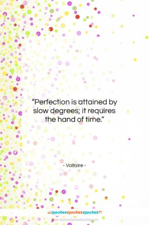 Voltaire quote: “Perfection is attained by slow degrees; it…”- at QuotesQuotesQuotes.com