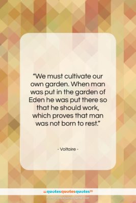 Voltaire quote: “We must cultivate our own garden. When…”- at QuotesQuotesQuotes.com
