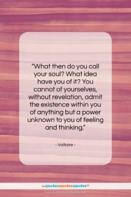 Voltaire quote: “What then do you call your soul?…”- at QuotesQuotesQuotes.com
