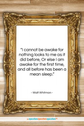 Walt Whitman quote: “I cannot be awake for nothing looks…”- at QuotesQuotesQuotes.com