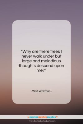 Walt Whitman quote: “Why are there trees I never walk…”- at QuotesQuotesQuotes.com