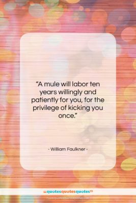 William Faulkner quote: “A mule will labor ten years willingly…”- at QuotesQuotesQuotes.com