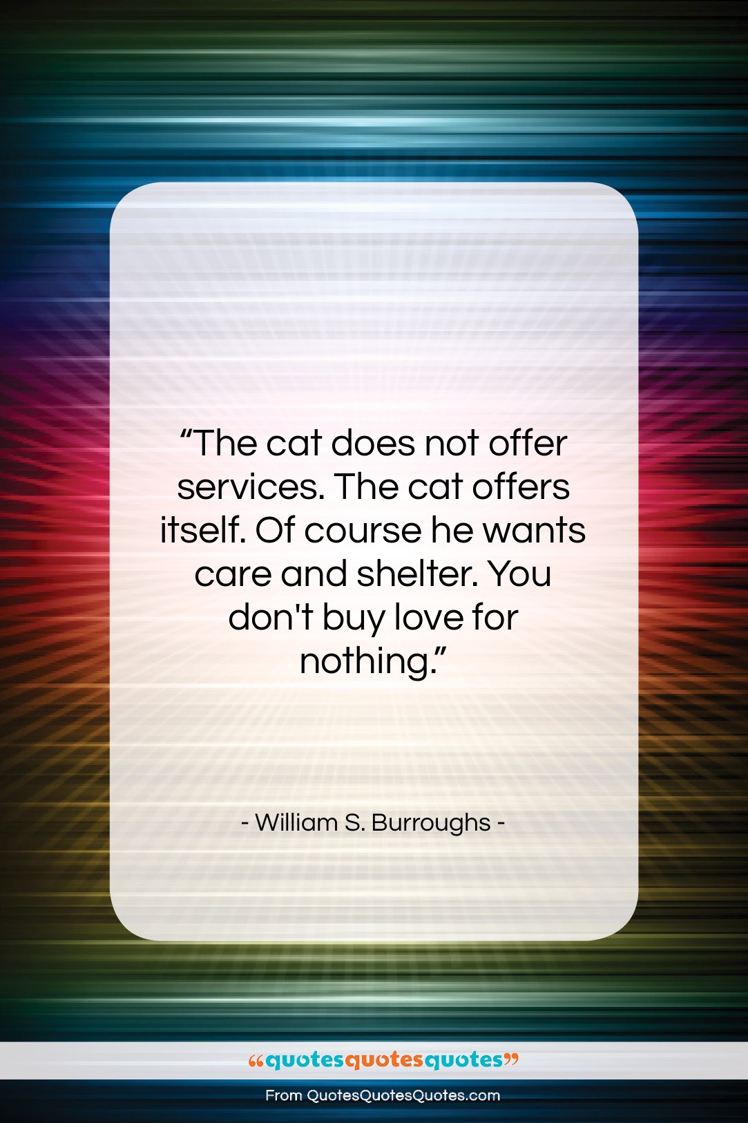 William S. Burroughs quote: “The cat does not offer services. The…”- at QuotesQuotesQuotes.com