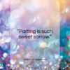 William Shakespeare quote: “Parting is such sweet sorrow…”- at QuotesQuotesQuotes.com