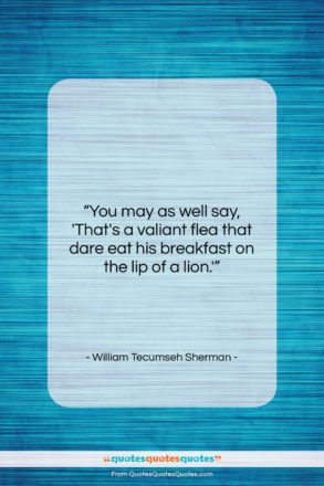 William Tecumseh Sherman quote: “You may as well say, ‘That’s a…”- at QuotesQuotesQuotes.com