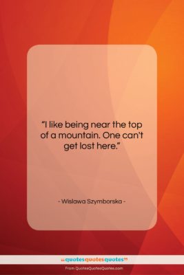Wislawa Szymborska quote: “I like being near the top of…”- at QuotesQuotesQuotes.com