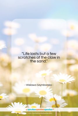 Wislawa Szymborska quote: “Life lasts but a few scratches of…”- at QuotesQuotesQuotes.com