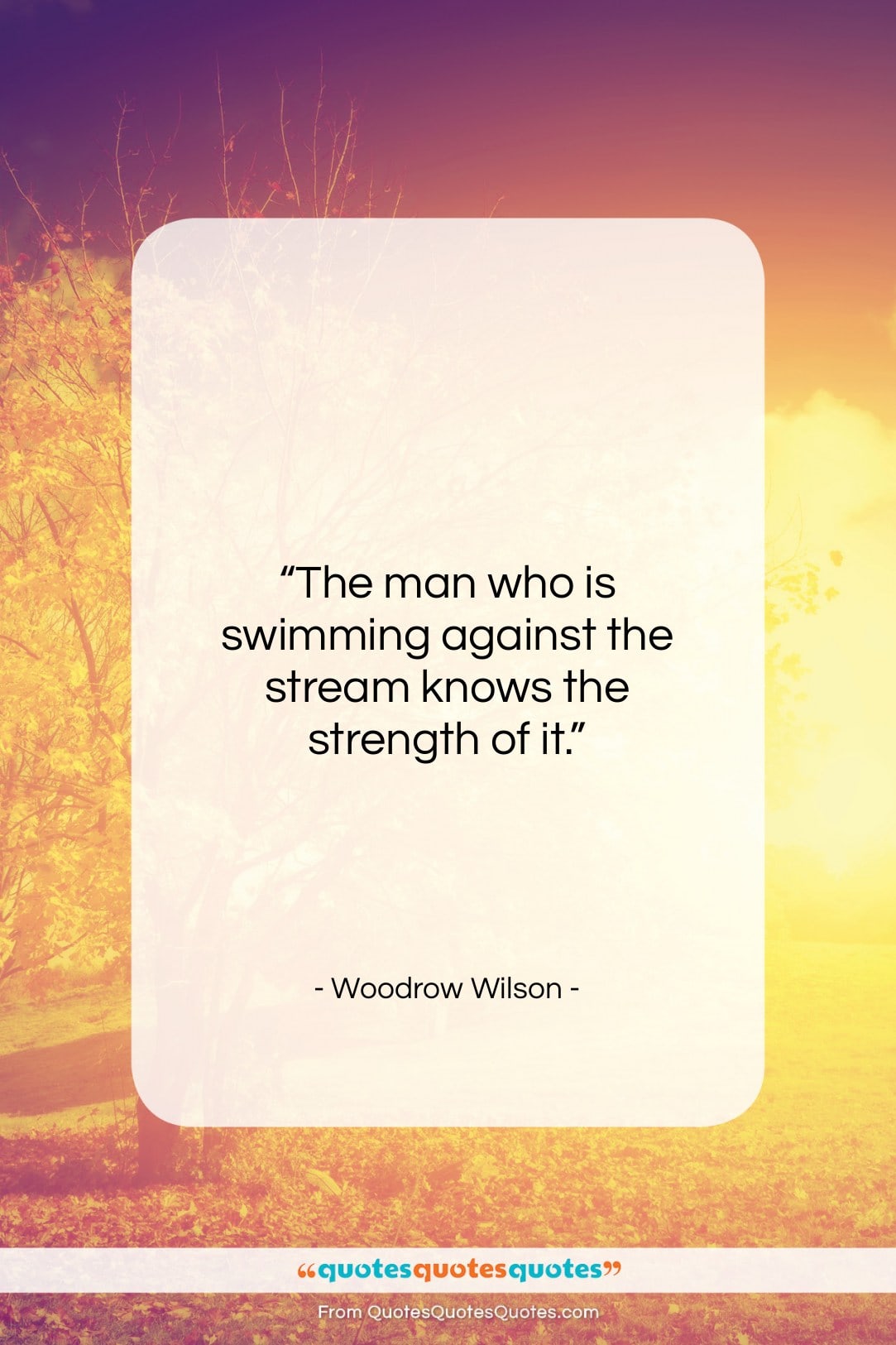 Woodrow Wilson quote: “The man who is swimming against the…”- at QuotesQuotesQuotes.com